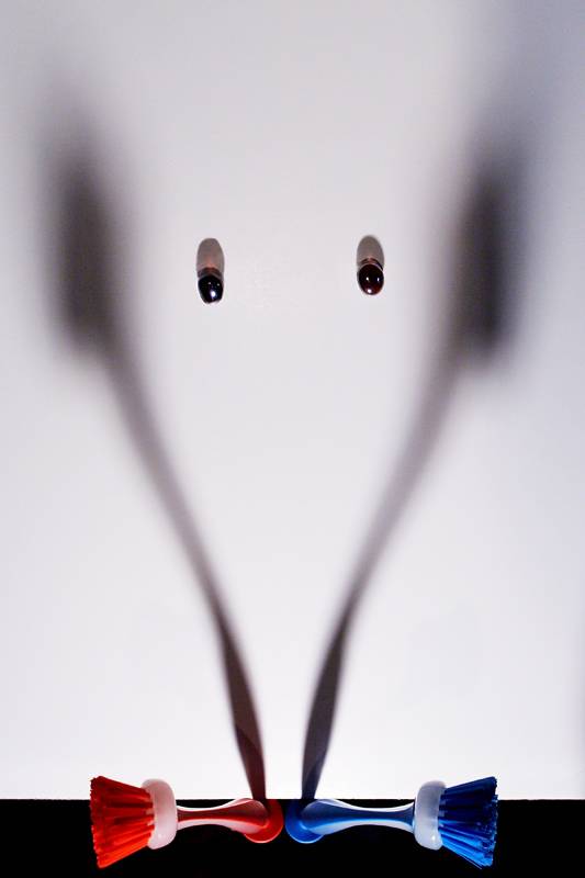 Curious Mouse *
