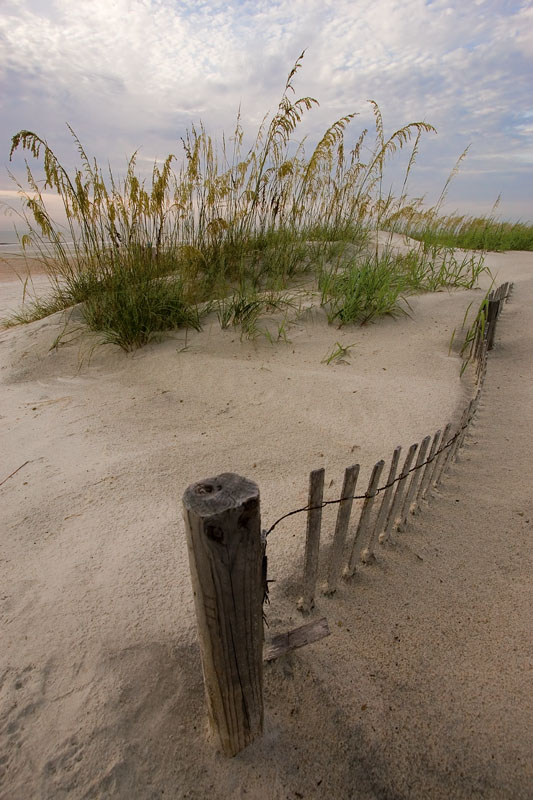 Dunes & Fence<br>9th Place