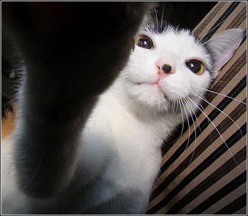 Out of my Face *