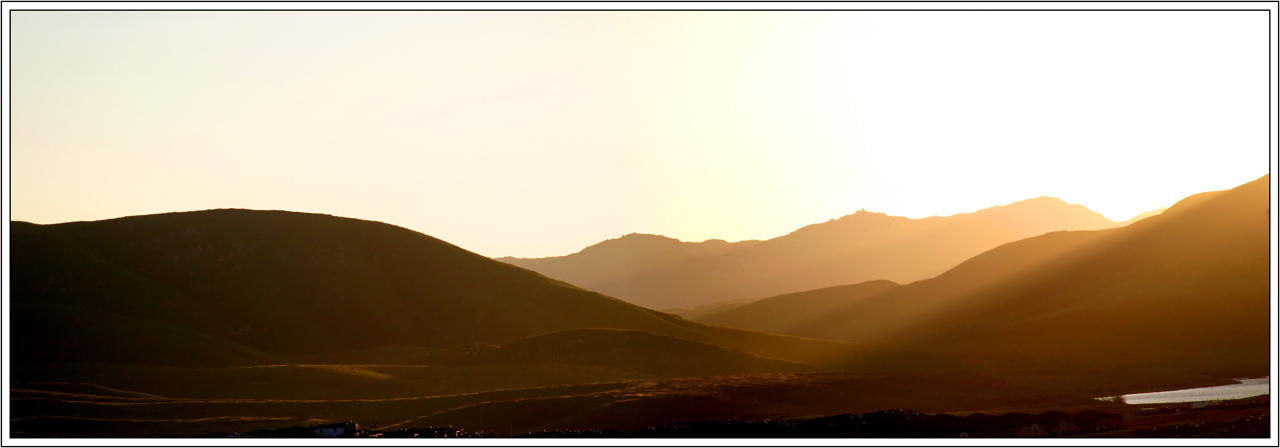 Morning Solitude *