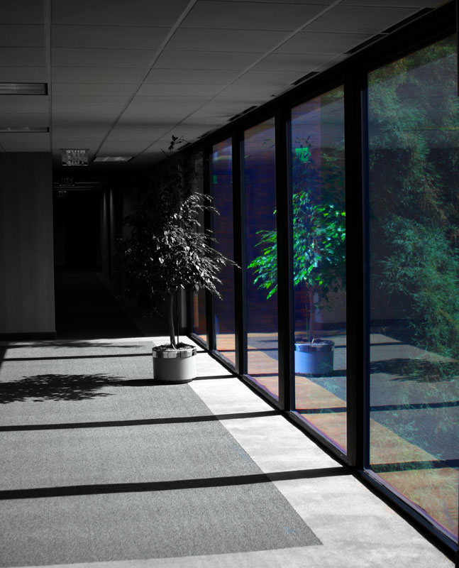 Shadows and Reflections *