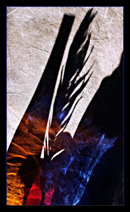 Simply Shadows*