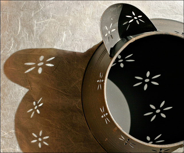Daisy-Lights*<br>7th Place