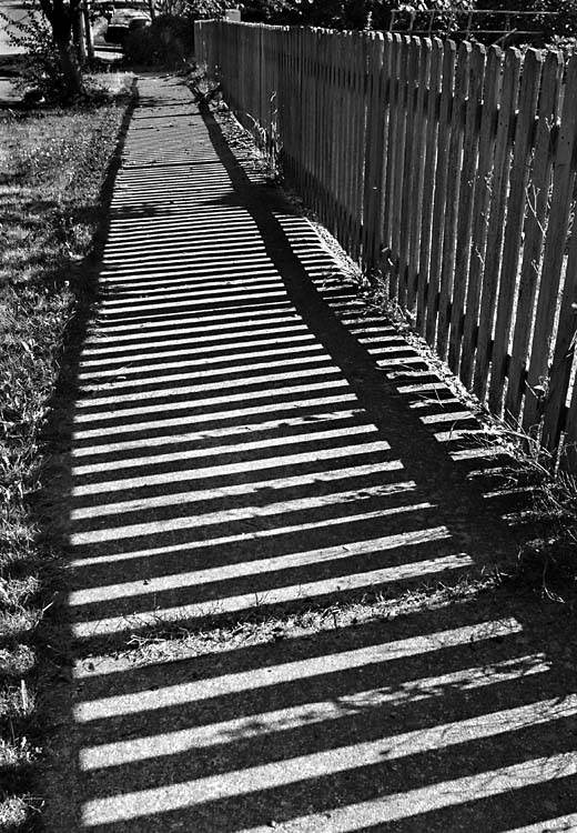 Shadow Fence I *