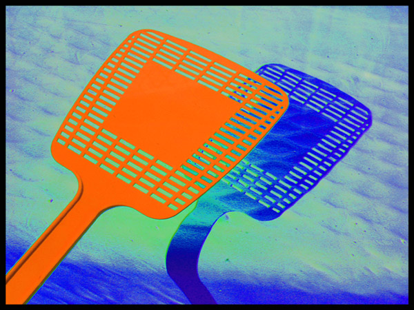 FlySwatter*
