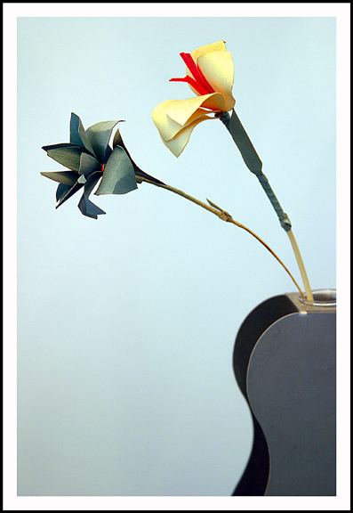 Fake Flowers in the Hallway  *