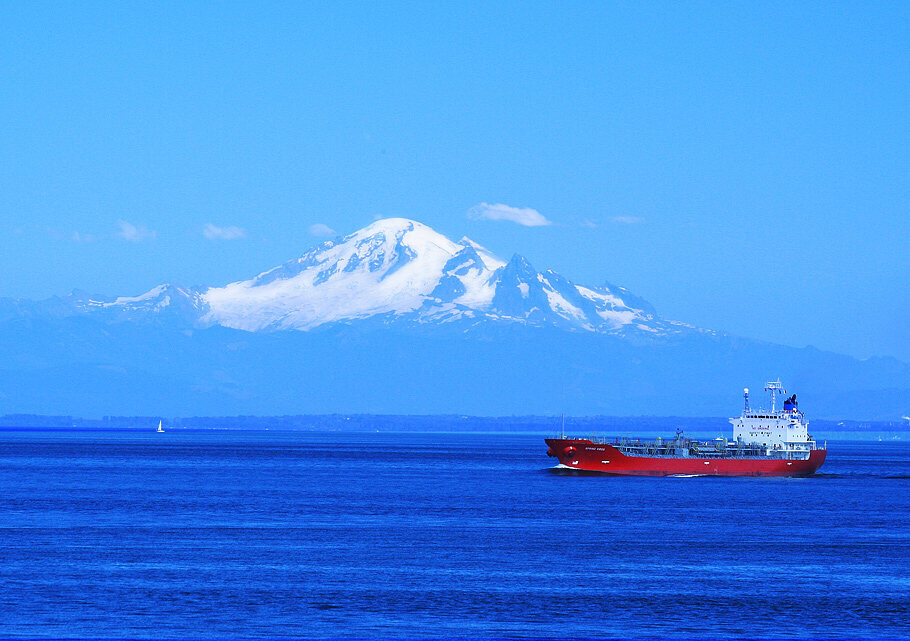 Red On Blue *  Traveller