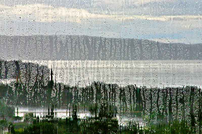 Rainy day *