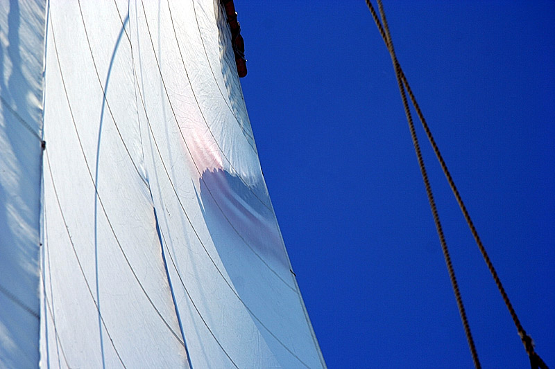 Flag  *