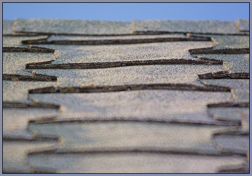 Shingles  *