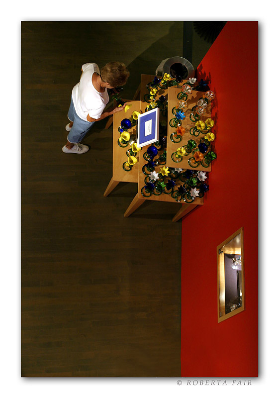 The Shopper