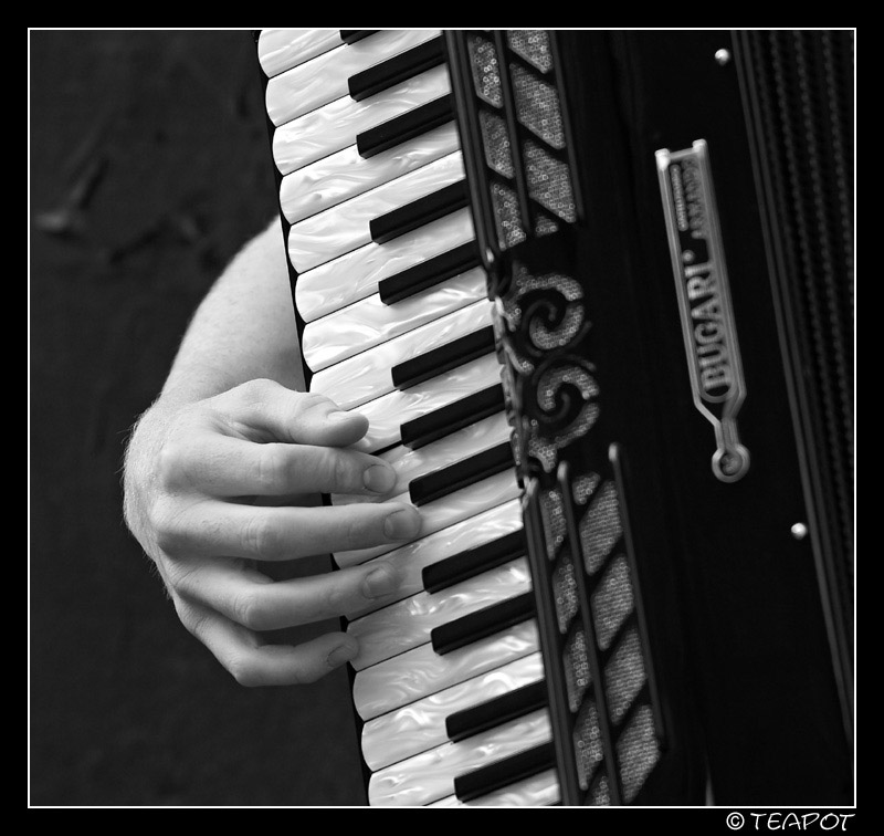 Accordian *