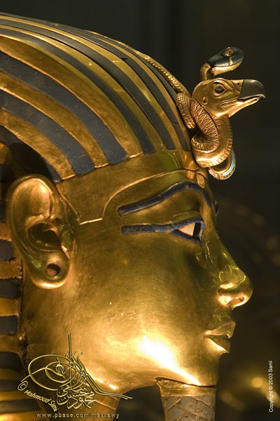 The Boy King *<br>Tutankhamun</br>