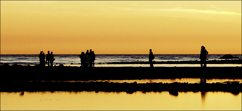 California Gold