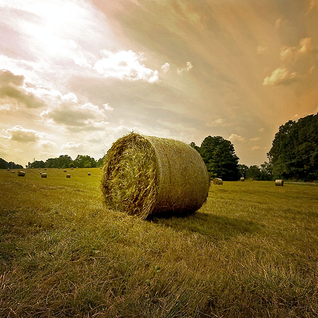 Rolling (*)