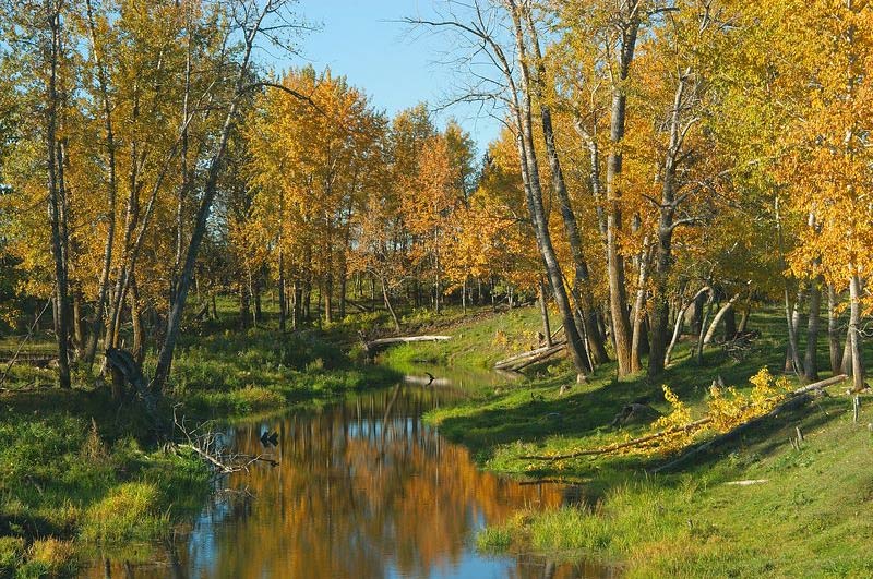 Whitemud Creek