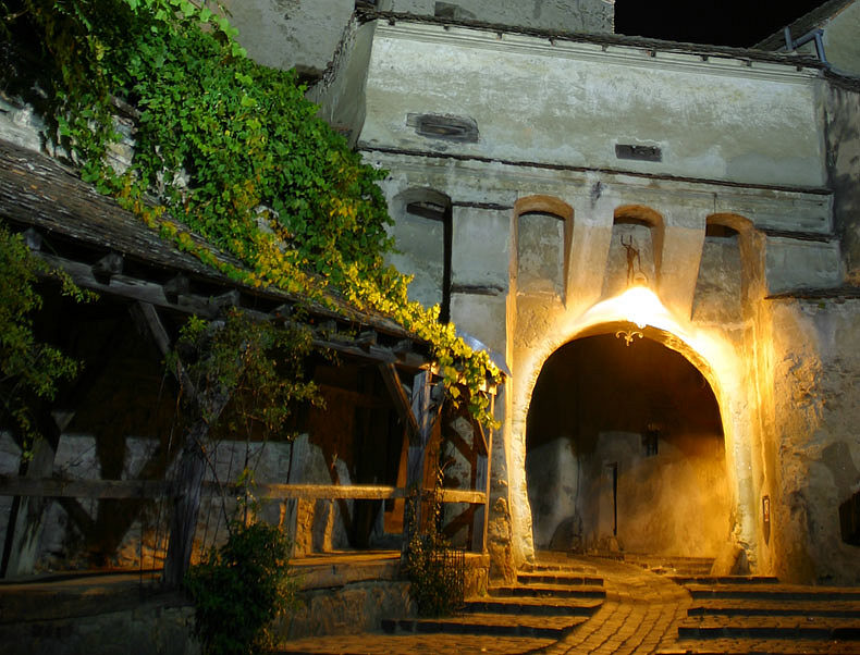 In The Dark Night, A Golden Way To Refuge  * Traveller