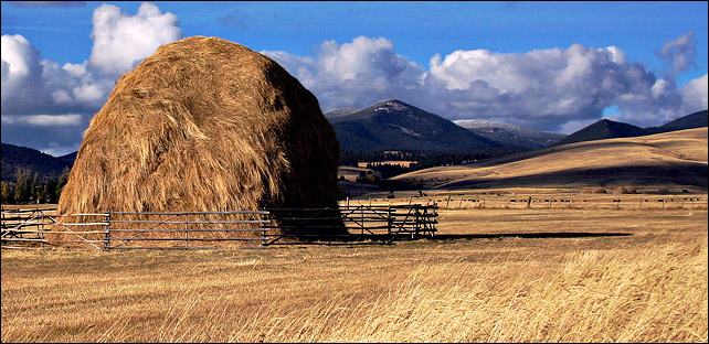 5th: Near Avon, Montana*