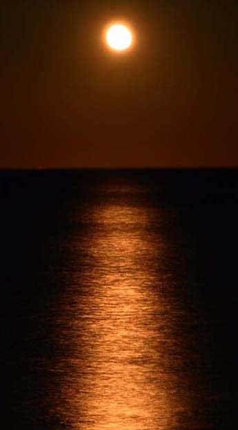 Golden Waters