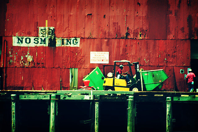 working on the dock (*)
