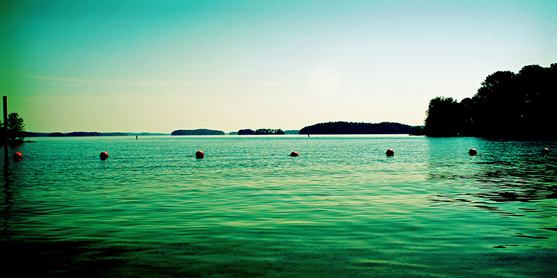 lake (*)