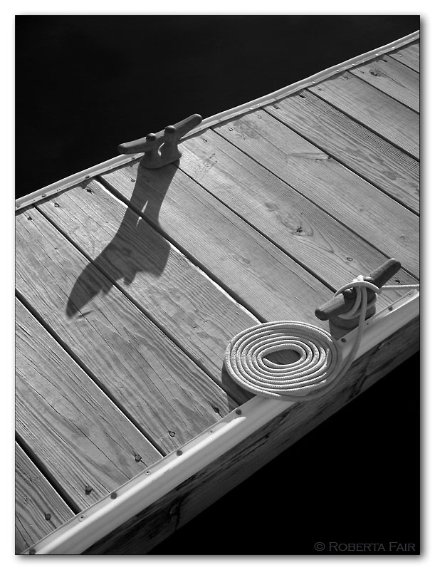 Treman Dock*