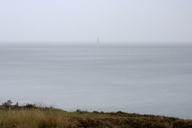 sailing in the rain*