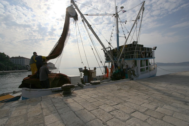 back from fishing*