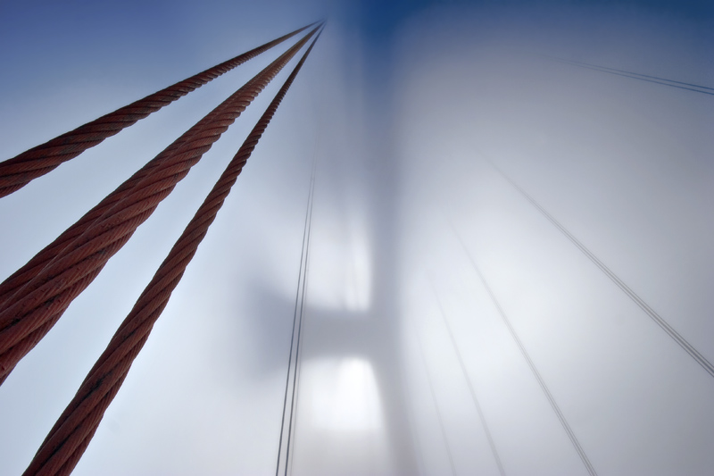 <b>4th Place</b><br><i>Between Dimensions*<br></i>by CindyD