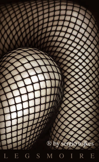<b>8th Place</b><br><i>legsmoire<br></i>by sergio rojkes