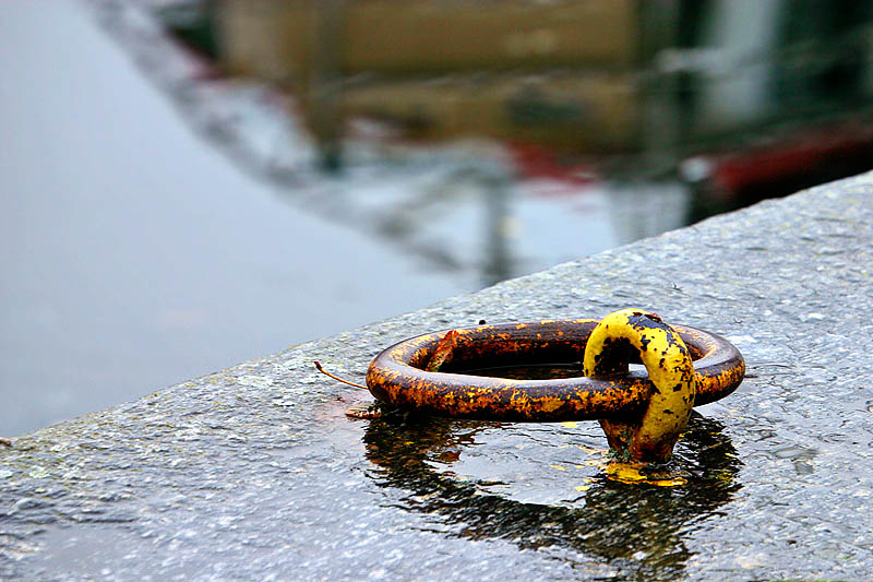 Rainy day *