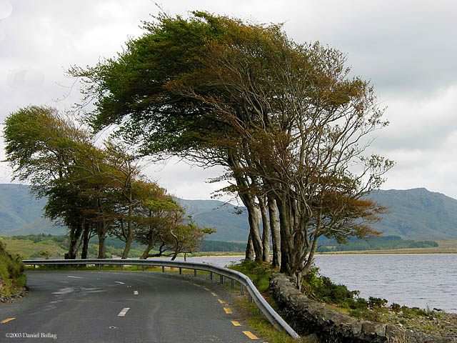 Wind*