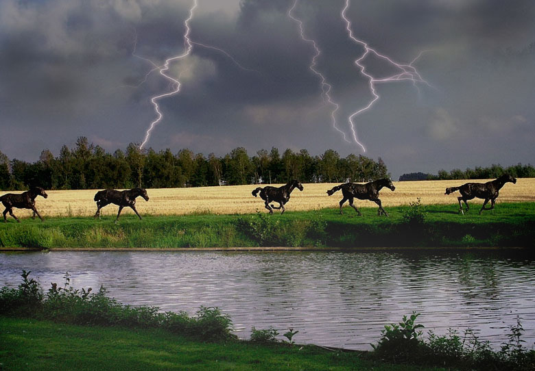 <b>8th Place (tie)</b><br><i>Thunderstorm</i><br>by Moti