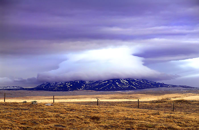 <b>10th Place</b><br><i>Cloudy</i><br>by Moti
