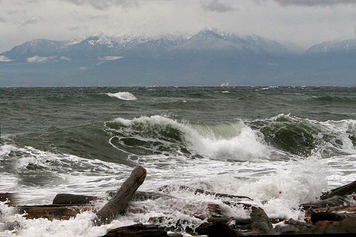 November Storm*