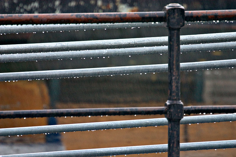 Rainy day 2 *