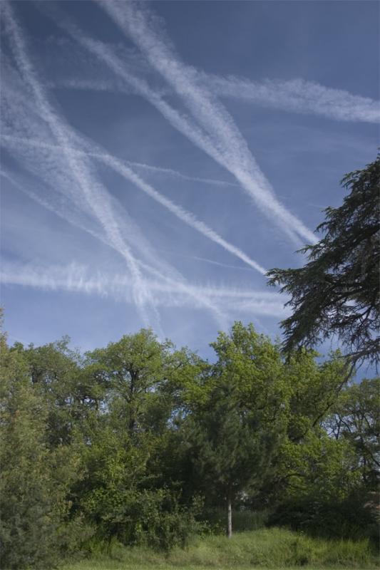 A Conspiracy Theory of Contrails *