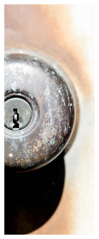 Patina*