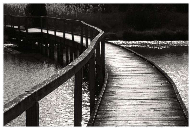 The Boardwalk *