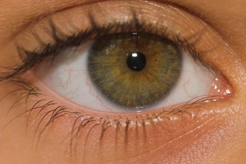 Paola eye