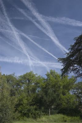 A Conspiracy Theory of Contrails *