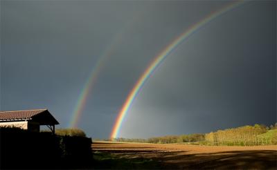 An Illumination of Rainbows *