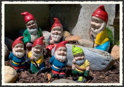 A Hi Ho Of Garden Gnomes *