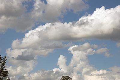 Wilderness of Clouds*