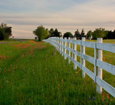 A Row of Fence