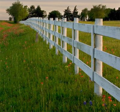 A Row of Fence II