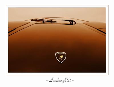 Lamborghini*by Michael Soo5th Place