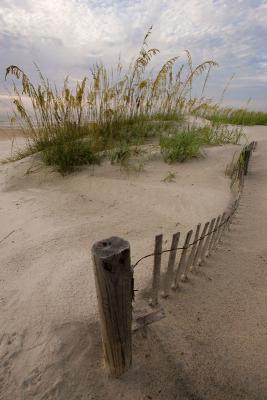 Dunes & Fence9th Place