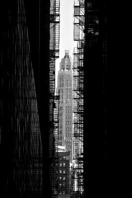 Tribune Tower* by Grant Hamilton