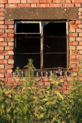 Derelict*